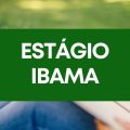 IBAMA abre vagas de estágio; veja como participar