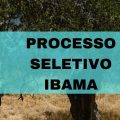 IBAMA abre vagas em processo seletivo para Prevfogo