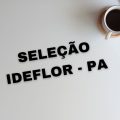 IDEFLOR-Bio PA promove processo seletivo