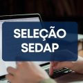 SEDAP PA abre vagas em processo seletivo simplificado