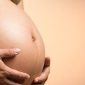 Como os bebês absorvem nutrientes dentro da barriga da mãe?