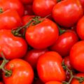 Desafie seus conhecimentos: Tomate é fruta ou legume?