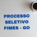 FIMES – GO abre processo seletivo simplificado retificado