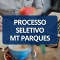 MT Parques abre 196 vagas em processo seletivo; até R$ 5,4 mil