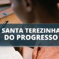 Câmara de Santa Terezinha do Progresso – SC anuncia edital de processo seletivo