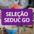 Seduc GO abre 380 vagas em processo seletivo; veja como participar