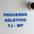 TJ – MT abre vagas em seleção; mensais de R$ 5,1 mil