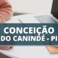 Concurso Câmara de Conceição do Canindé – PI anuncia edital