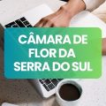 Concurso Câmara de Flor da Serra do Sul – PR: edital e inscrições