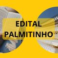 Concurso Prefeitura de Palmitinho – RS: 70 vagas + CR; até R$ 19,1 mil