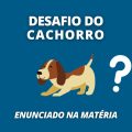 Inteligência à prova: consegue responder o desafio do cachorro?