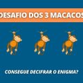 Teste sua inteligência com ESTE enigma dos três macacos