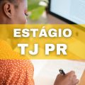 Estágio TJ PR oferece bolsa-auxílio de R$ 1,5 mil; confira o edital