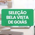 Prefeitura de Bela Vista de Goiás – GO lança edital de processo seletivo