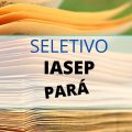 IASEP – PA abre processo seletivo para diversos profissionais