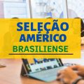 Prefeitura de Américo Brasiliense – SP lança processo seletivo com vagas para Professores