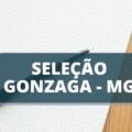 Prefeitura de Gonzaga – MG altera cronograma de processo seletivo