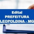 Prefeitura de Leopoldina – MG abre vagas imediatas em seletivo