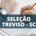 Prefeitura de Treviso – SC lança edital de processo seletivo; até R$ 5 mil