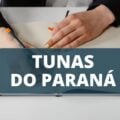 Prefeitura de Tunas do Paraná – PR divulga edital de processo seletivo