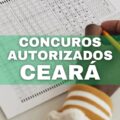 Concursos CE: governo do Ceará anuncia pacote de editais