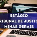 Processo seletivo TJ MG abre edital de estágio; até R$ 1,8 mil