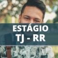 Estágio TJ RR: vagas remuneradas para diversos cursos