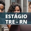 TRE RN anuncia edital com mais de 100 vagas de estágio