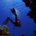 Novo ecossistema é descoberto no fundo do oceano