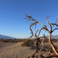 Descubra o ponto mais quente da Terra que já registrou 56,7°C