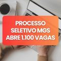 MGS ES abre 1.100 vagas em processo seletivo; veja como participar