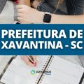 Prefeitura de Xavantina – SC divulga edital de seletivo