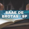 Concurso SAAE de Brotas – SP: confira o edital e as inscrições