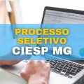 CIESP MG abre processo seletivo; confira detalhes do edital