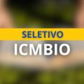 ICMBio abre processo seletivo em dois estados brasileiros