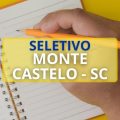 Prefeitura de Monte Castelo – SC lança edital de processo seletivo