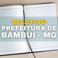 Prefeitura de Bambuí – MG abre seletivo para a área da saúde; confira o edital