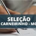 Prefeitura de Carneirinho – MG abre processo seletivo com remunerações de até R$ 23,5 mil