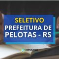 Prefeitura de Pelotas – RS abre novo edital de processo seletivo