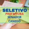 Prefeitura de Senador Canedo – GO divulga edital de seleção