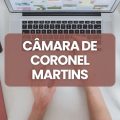 Concurso Câmara de Coronel Martins – SC: ganhos de até R$ 4,8 mil