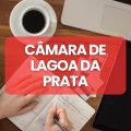 Concurso Câmara de Lagoa da Prata – MG: até R$ 4,8 mil