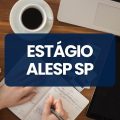 ALESP SP anuncia processo seletivo de estágio; bolsas de até R$ 1,3 mil