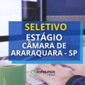 Estágio Câmara de Araraquara – SP: saiba como participar do processo seletivo