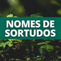 Se você tem algum destes 7 nomes, a sorte está ao se favor