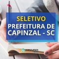 Prefeitura de Capinzal – SC tem dois editais de processo seletivo publicados