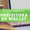 Prefeitura de Mallet – PR lança novo edital de processo seletivo