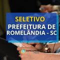 Prefeitura de Romelândia – SC abre processo seletivo; até R$ 4,6 mil