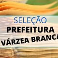 Prefeitura de Várzea Branca – PI abre teste seletivo simplificado