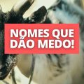 5 animais com os nomes mais aterrorizantes do mundo